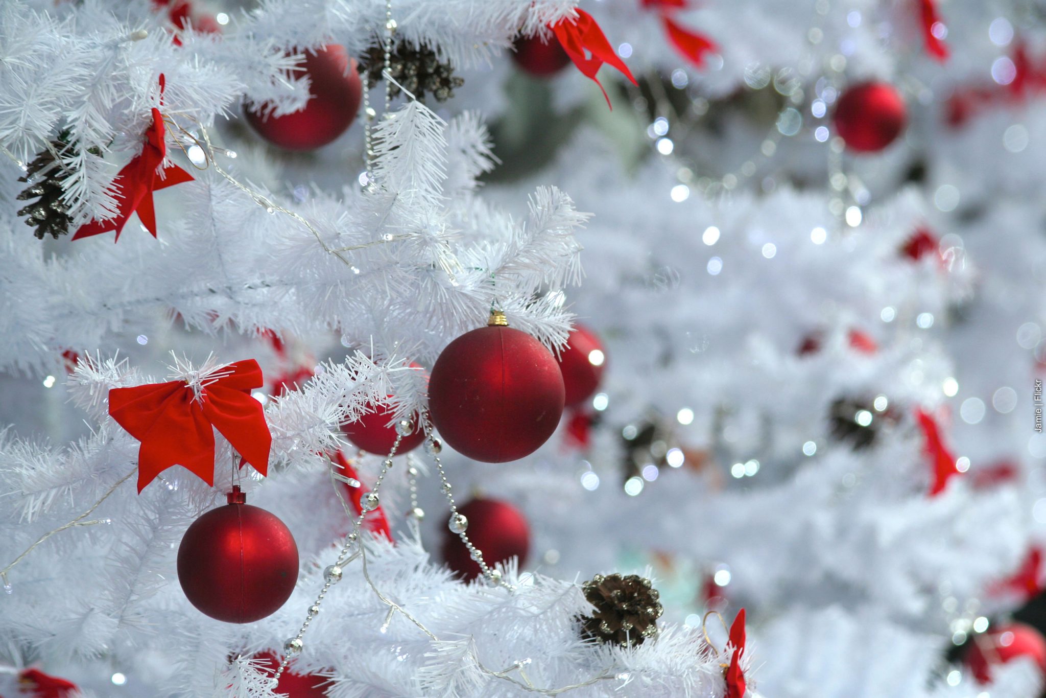 Christmas Refection A Christmas Reflection | United Women in Faith