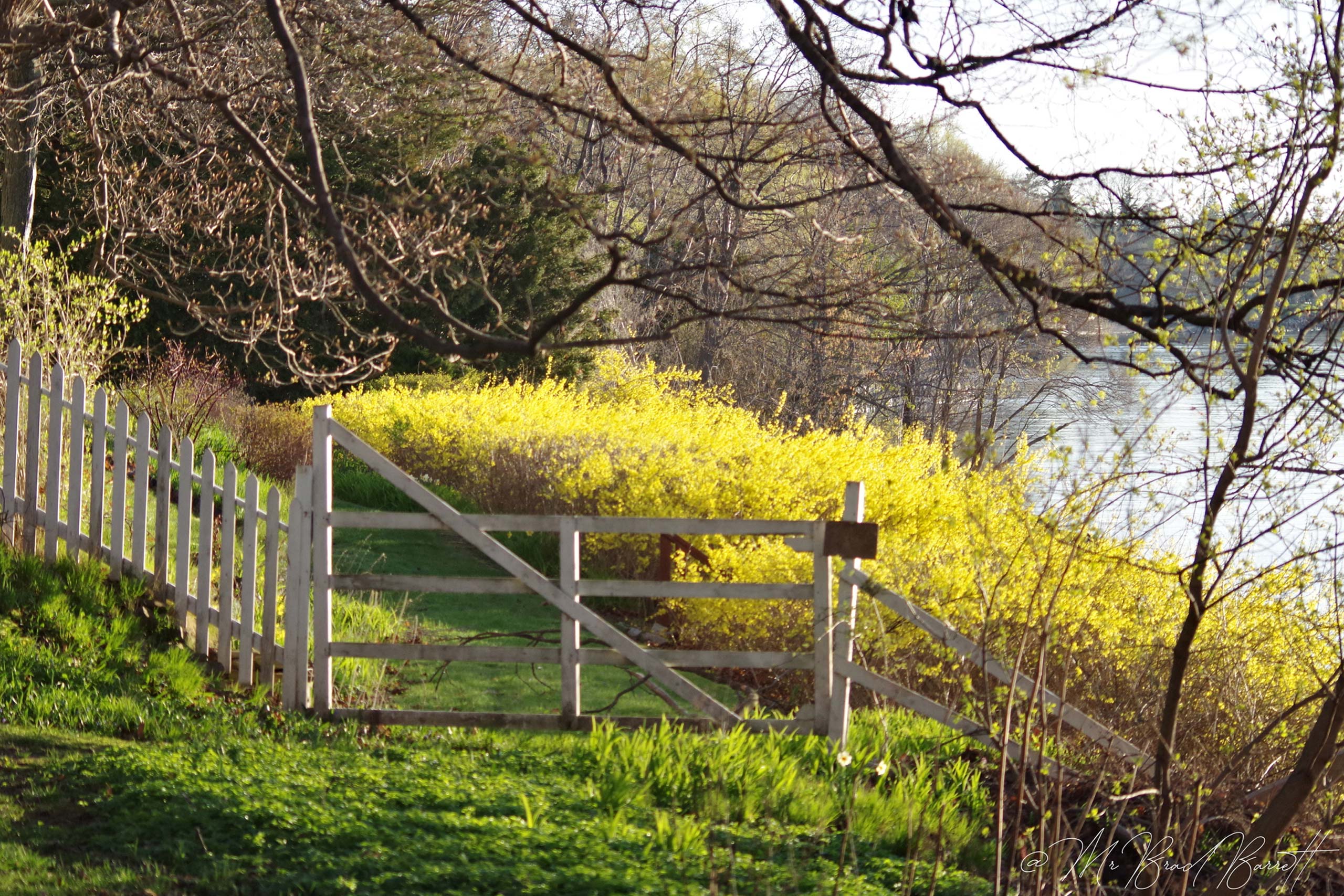 path with a fence by a river